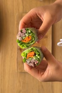 rollitos vietnamitas papel de arroz receta
