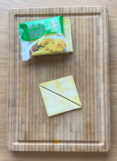 wonton obleas